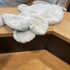 Peluche Grijs, a été signalé par Designer Outlet Roosendaal utilisant iLost