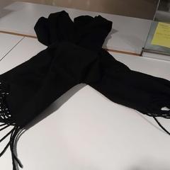 Xal zwart, segons ha informat Cursus en vergadercentrum Domstad mitjançant iLost