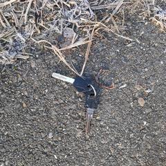 Fietssleutels Haarlem, som rapportert til iLost