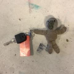 Nøkler, som rapportert av Artis ved bruk av iLost