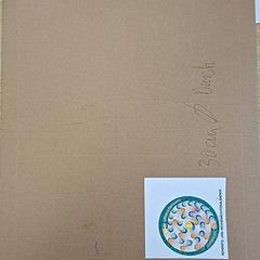 Paket bruin, gemeldet von Regio Antwerpen - Brussel über iLost