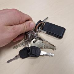 Sleutelbos, som rapportert til iLost