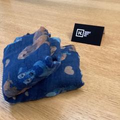 Sjal, som rapportert av Stad Hasselt ved bruk av iLost