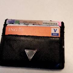 Cardholder, as reported by Qbuzz ZHN using iLost