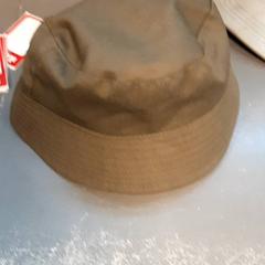 Pet, segundo informou Diergaarde Blijdorp usando iLost