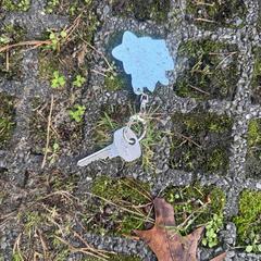 Sleutel an iLost gemeldet