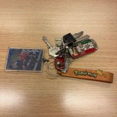 Nøkler, som rapportert av Feyenoord Rotterdam ved bruk av iLost