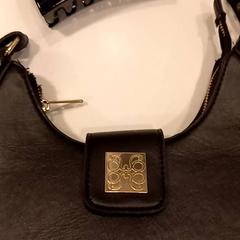 Bolsa handtassen, ha sido reportado por Arriva Limburg Noord con iLost