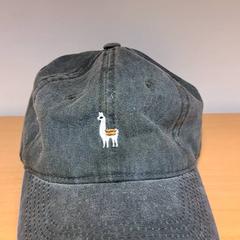 キャップ がiLostで Keolis Lund によって報告されました