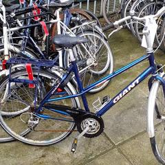 Bicicleta de mujer giant, ha sido reportado por Stadswerk072 con iLost