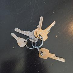 Sleutels, gerapporteerd met iLost