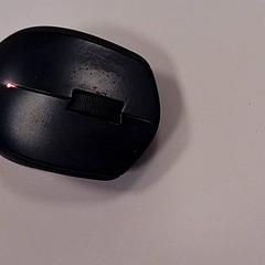 Datamus, som rapportert av Vrije Universiteit Amsterdam ved bruk av iLost