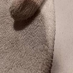 كنوفل، كما تم الإبلاغ عنه بواسطة De Efteling عبر iLost