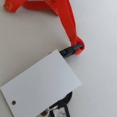 Halsband, rapporterat av Regio West-Vlaanderen med iLost