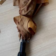 우산 Bruin, iLost를 사용하여 ParkShuttle Rotterdam에 보고됨