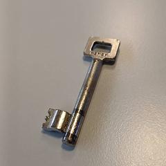 Sleuteltje, jak nahlášeno Padualaan 99 pomocí iLost