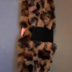 Opaska, zgłoszono przez Diergaarde Blijdorp przy użyciu iLost