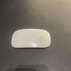 Ratón, ha sido reportado por Van der Valk Hotel Houten con iLost