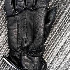 Handschoen Zwart, zoals gemeld door Arriva Vechtdallijnen met iLost