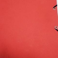 Documento Akram, come riportato da ilévia utilizzando iLost