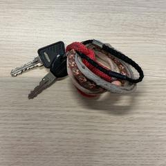 Klíče od kola, jak nahlášeno Gemeente Arnhem pomocí iLost