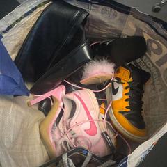 Bota verschillende soorten, jak nahlášeno Vrije Universiteit Brussel (VUB) pomocí iLost