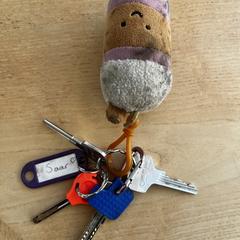 sleutelbos, jak bylo nahlášeno na iLost