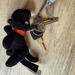 Sleutelbos Oog in Al, amint azt az iLostnak jelentették.