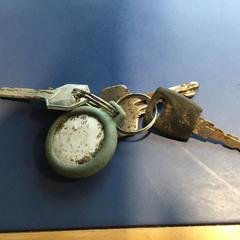 Sleutelbos, come riportato a iLost