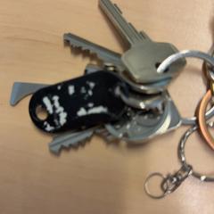 Schlüsselanhänger, gemeldet von RET über iLost