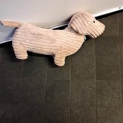 كنوفل Lichtbruine tekkel، كما تم الإبلاغ عنه بواسطة EBS Tramplein عبر iLost