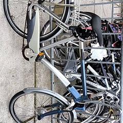 Pánsky bicykel batavus, ako bolo nahlásené Stadswerk072 pomocou iLost