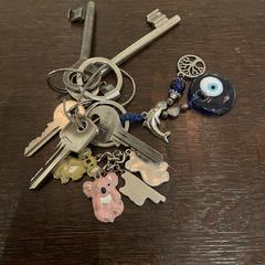 Sleutelbos met bedeltjes, segundo informou a iLost