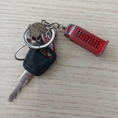 Bicycle key, as reported by Arriva West-Brabant using iLost