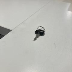 Sleuteltje, amint azt Gemeente Meierijstad az iLost segítségével jelentette.