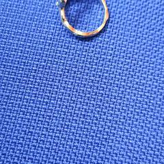 Ring, zoals gemeld door UvA REC met iLost