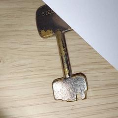 Chiavi, come riportato da Centraal magazijn utilizzando iLost