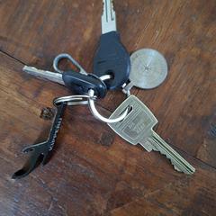 Sleutelbos, iLost에 보고됨