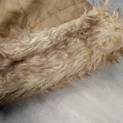 Beanie, som rapportert av Arriva Friesland / Groningen ved bruk av iLost