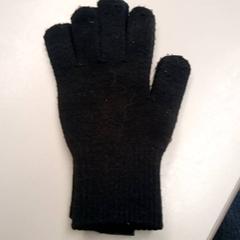 Handschuhe Zwart, gemeldet von Burgers' Zoo über iLost