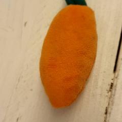 Zabawka Oranje, zgłoszono przez DierenPark Amersfoort przy użyciu iLost