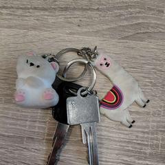 Nycklar, rapporterat av EBS OV Poeldijk med iLost