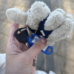 Keys with a Hulphond key chain, jak zgłoszono do iLost