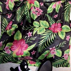 Tasche, gemeldet von Qbuzz DMG über iLost