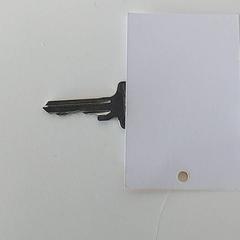 Nøkkel - Zonder hangertje, som rapportert av Centraal magazijn ved bruk av iLost