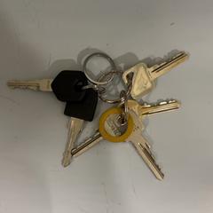 Clau, segons ha informat Fenix mitjançant iLost