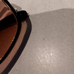 Ulleres de sol, segons ha informat De Efteling mitjançant iLost