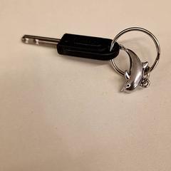 Key, as reported by HvA Amstelcampus using iLost