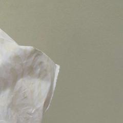 Påse plastique, rapporterat av TCL med iLost