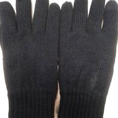 Hansker Zwart, som rapportert av Qbuzz Fryslân ved bruk av iLost